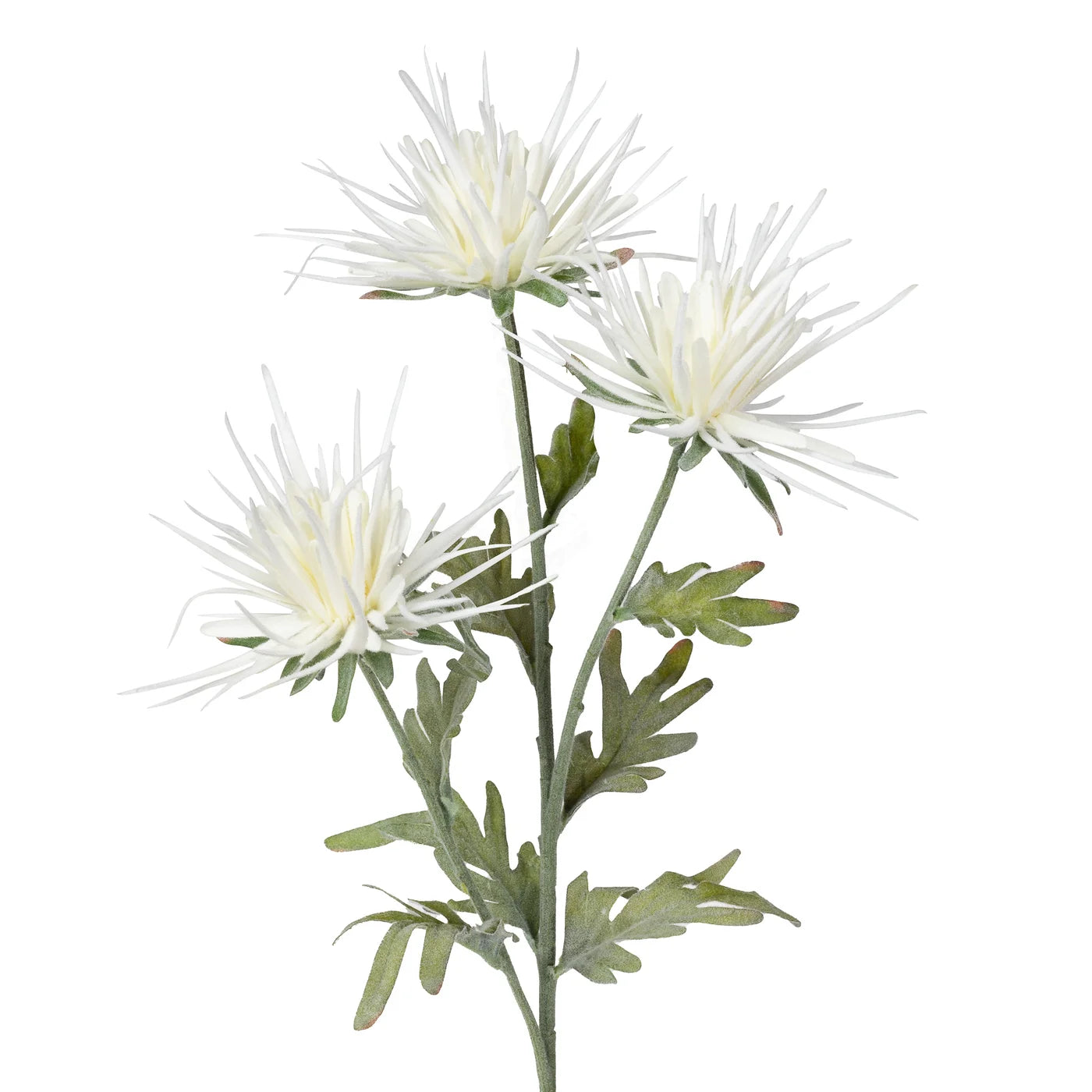 Spike Dahlia 3 Bloom 27.5 Inch Stem - White