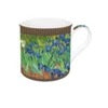 Masterpiece 300ml (10oz) Mug Irises