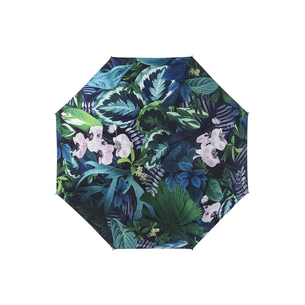Basil Bangs Rain Maple - Botanica