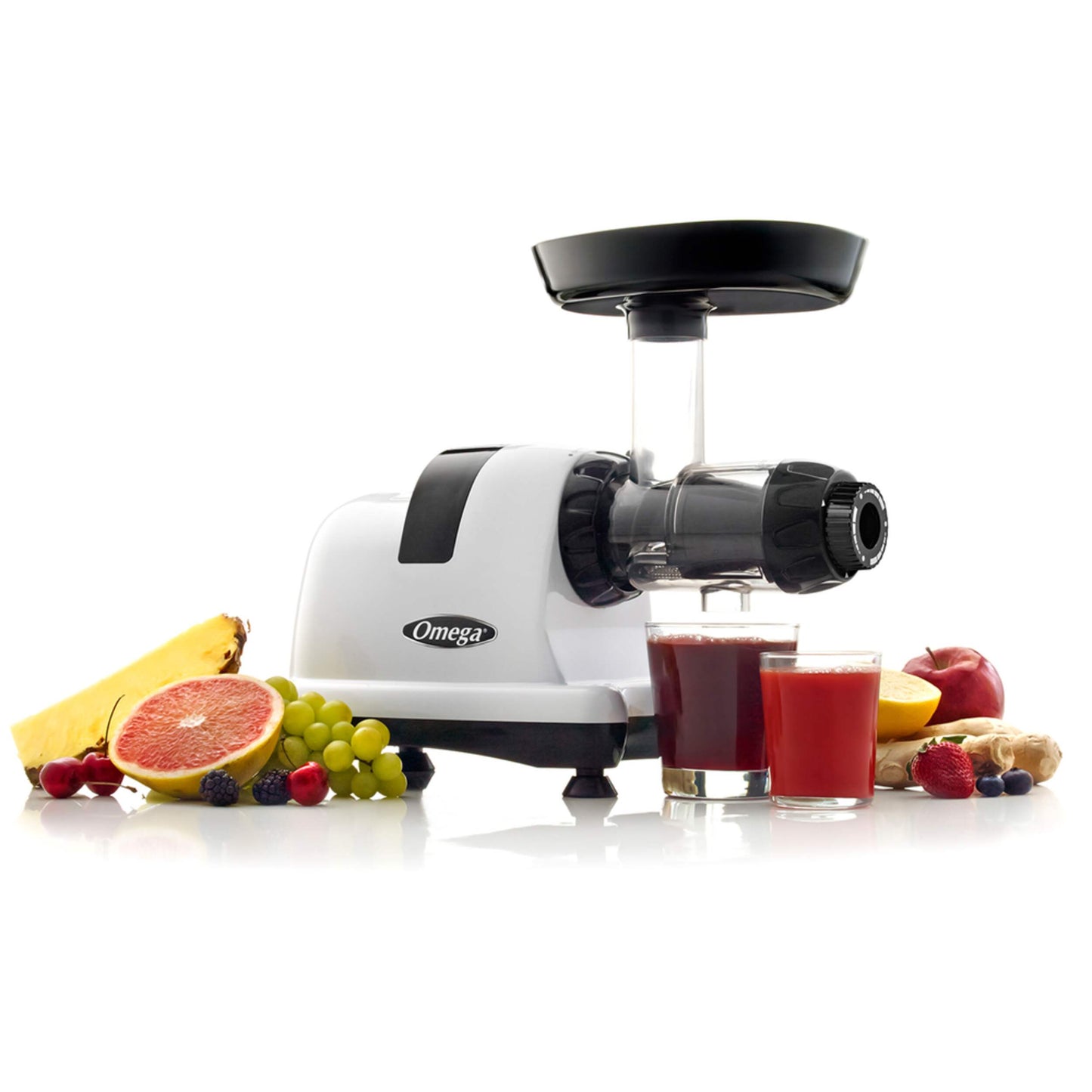 Omega Horizontal Slow Juicer, Stainless Steel 8008