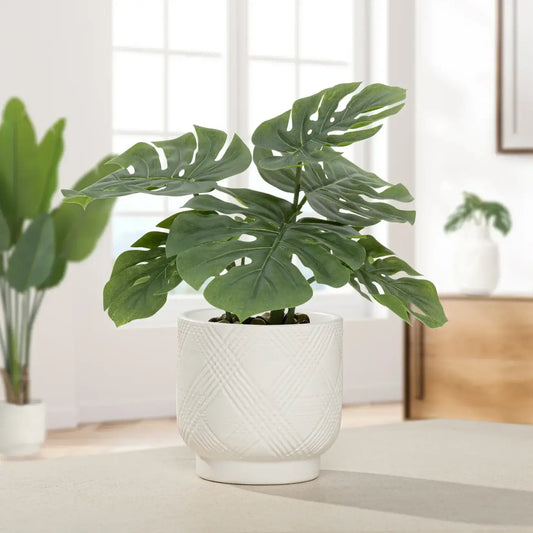 White Diamond Weave Pot - 5"