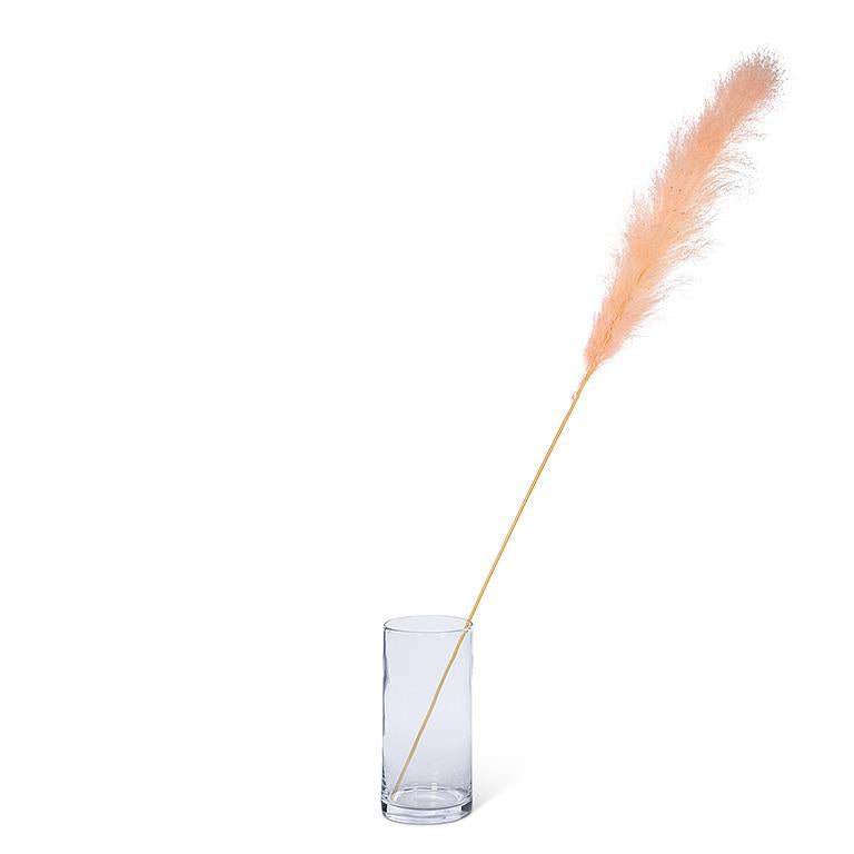 Pink Pampas Grass,56-64''H