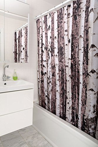 Shower curtain Birch 72x72