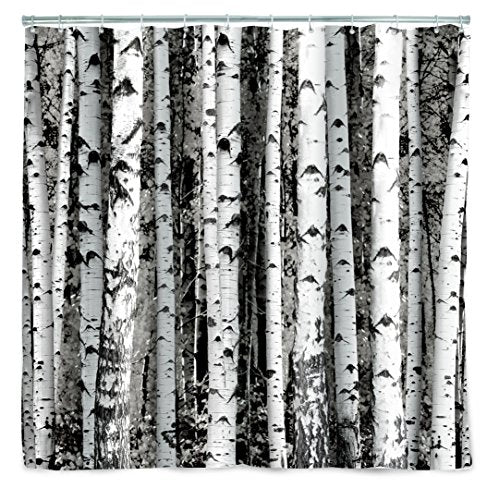 Shower curtain Birch 72x72