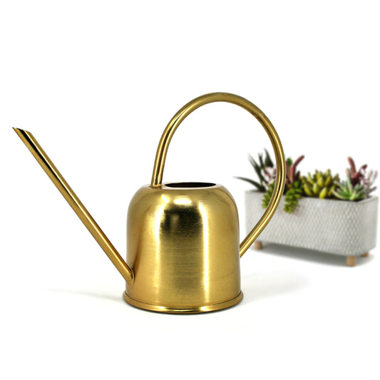 Small Watering Can