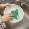 Cactus scrub sponge