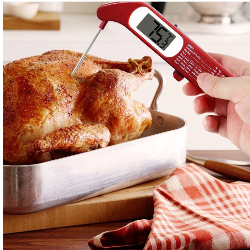 Digital fold Thermometer