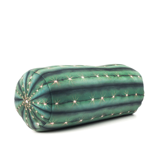 Cactus Pillow