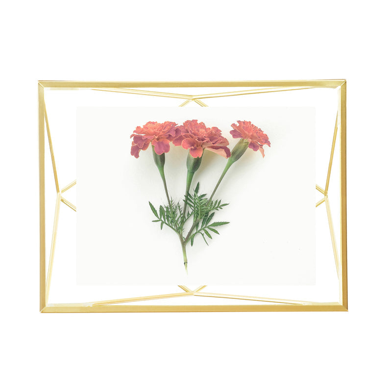 Prisma Photo Display 5*7 Matte Brass